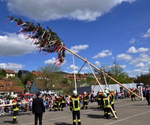 maibaum 300423
