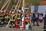 maibaum 300423
