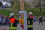 maibaum 300423