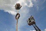 maibaum 300423
